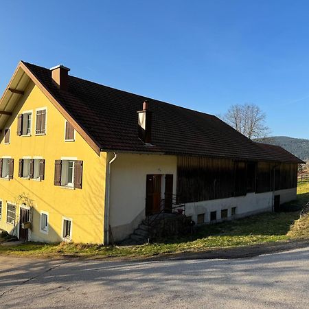 Chalet Cosy Lisiere De Foret Xonrupt-Longemer Kültér fotó