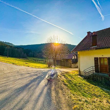 Chalet Cosy Lisiere De Foret Xonrupt-Longemer Kültér fotó