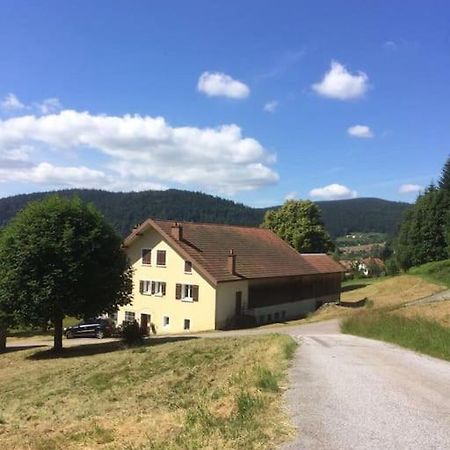 Chalet Cosy Lisiere De Foret Xonrupt-Longemer Kültér fotó