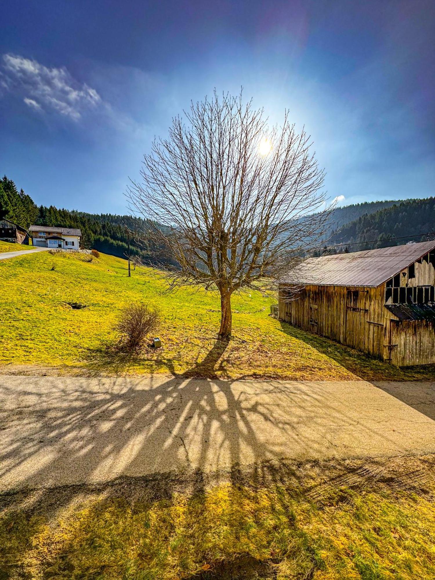 Chalet Cosy Lisiere De Foret Xonrupt-Longemer Kültér fotó