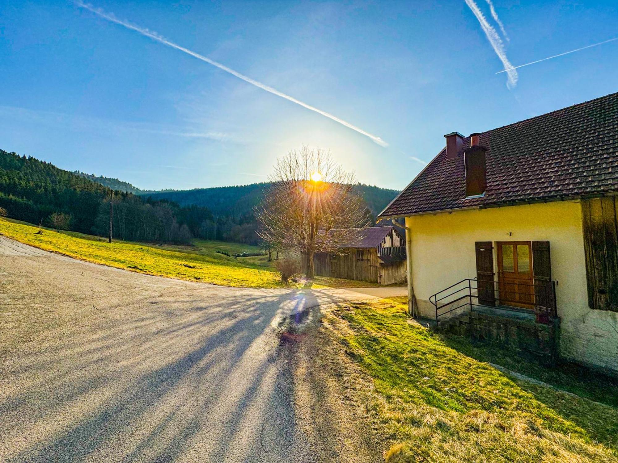 Chalet Cosy Lisiere De Foret Xonrupt-Longemer Kültér fotó