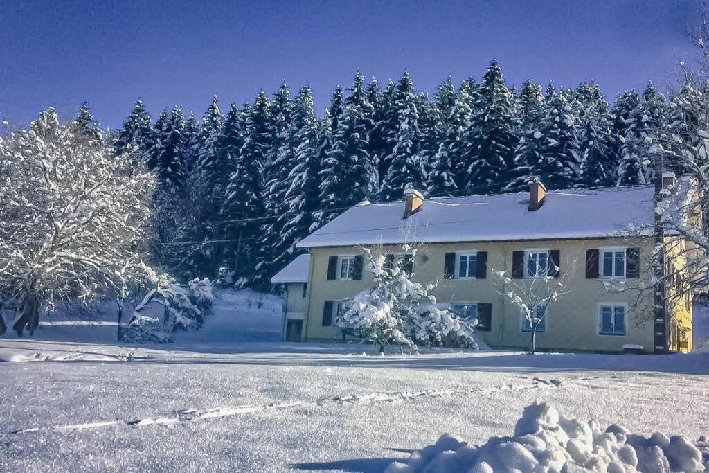 Chalet Cosy Lisiere De Foret Xonrupt-Longemer Kültér fotó