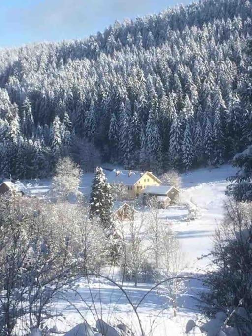 Chalet Cosy Lisiere De Foret Xonrupt-Longemer Kültér fotó