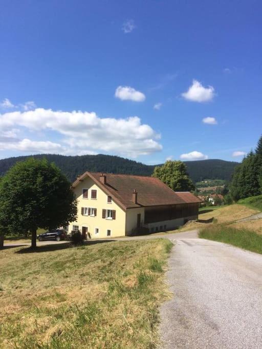 Chalet Cosy Lisiere De Foret Xonrupt-Longemer Kültér fotó
