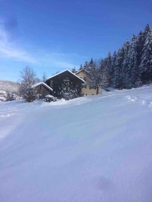 Chalet Cosy Lisiere De Foret Xonrupt-Longemer Kültér fotó