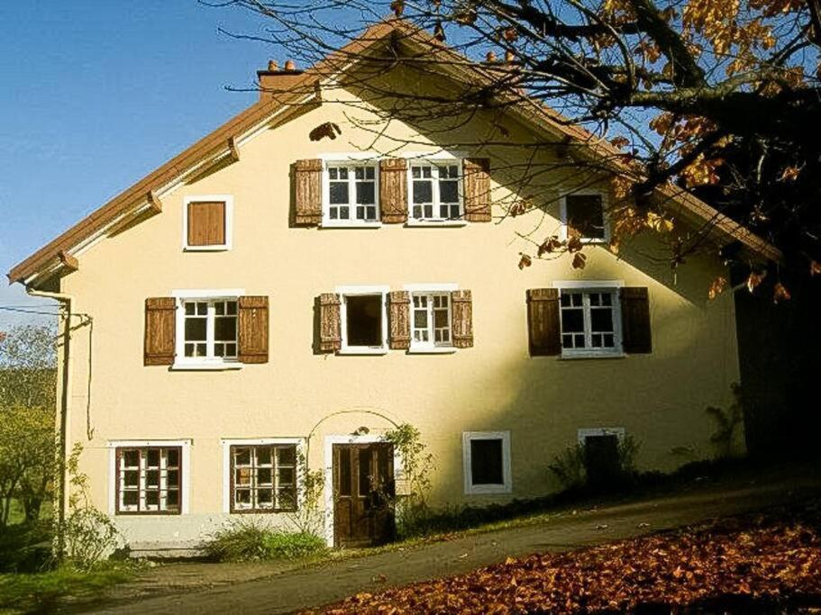 Chalet Cosy Lisiere De Foret Xonrupt-Longemer Kültér fotó